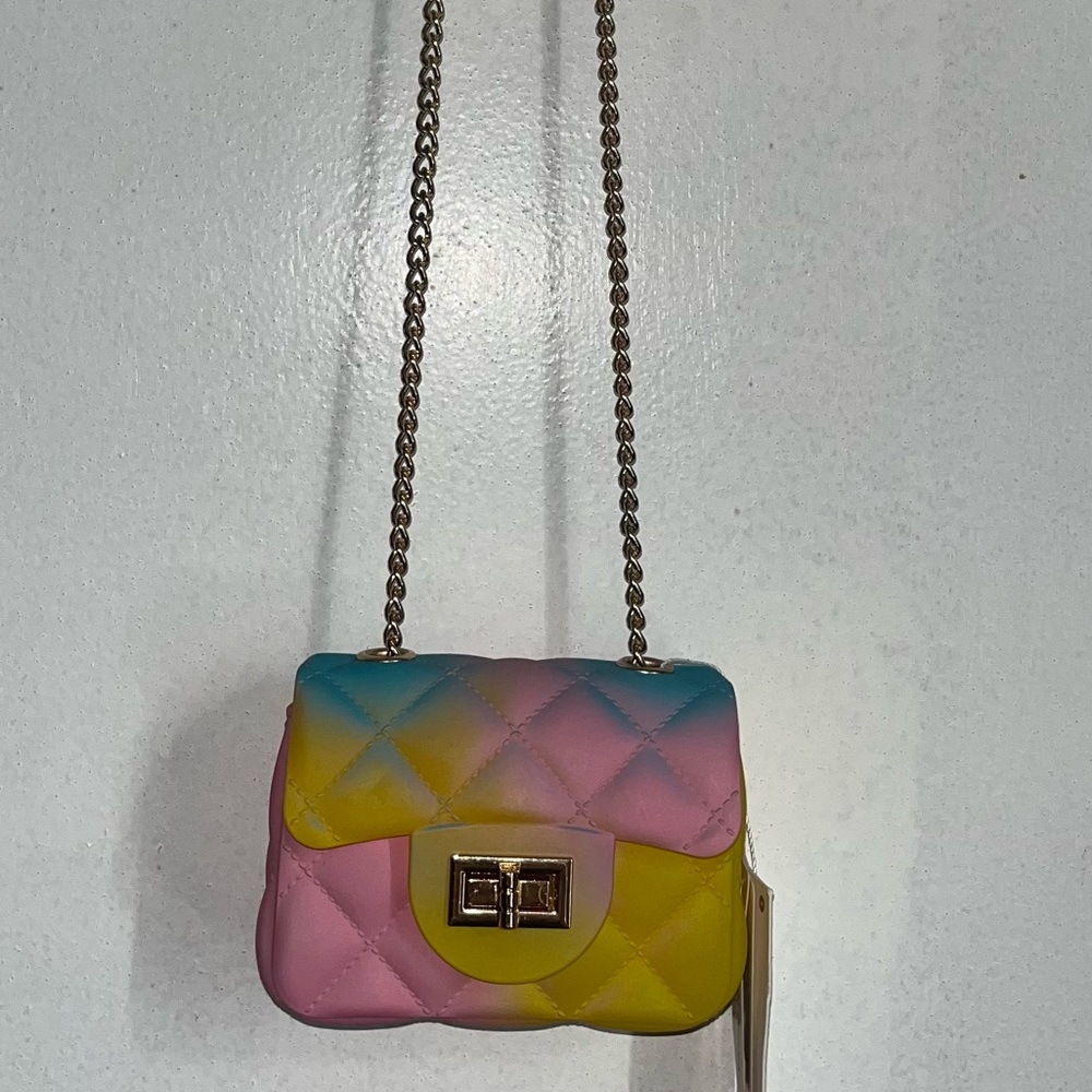 A mini purse multi color gold chain